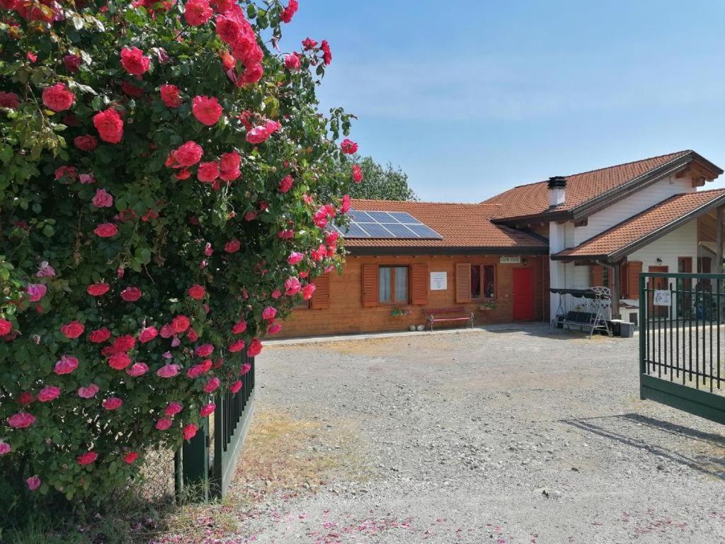 Agriturismo Bio Apipoli Montano Lucino Экстерьер фото